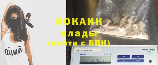 гидра Бронницы