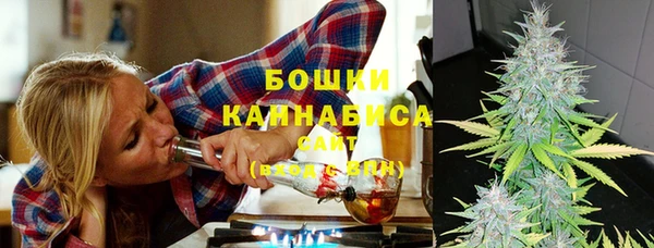 гидра Бронницы
