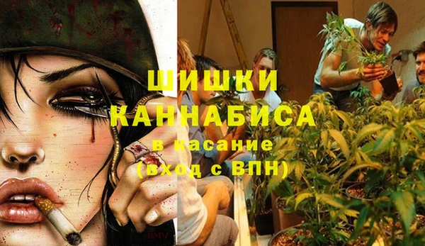 гидра Бронницы