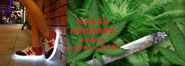 гидра Бронницы