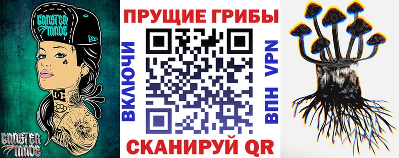 Купить  Кодинск  Галлюциногенные грибы Psilocybine cubensis 
